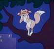 Cupid the Cat