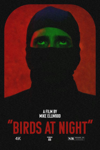 Poster de Filme Birds at Night (2023)