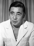 Tomisaburo Wakayama