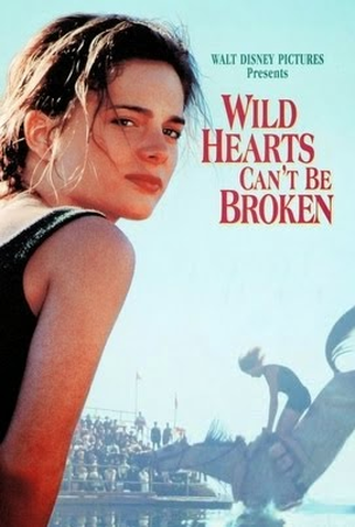 Poster 2 de Filme Mergulho em Uma Paixão (1991)