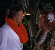 The Wedding