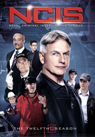 NCIS: Investigações Criminais  (12ª Temporada) (NCIS: Naval Criminal Investigative Service (Season 12))