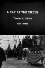 A Day at the Circus (A Day at the Circus)