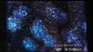 Trailer: ABERTURA DE CRISTAL A NOVELA DO SBT