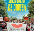 Denominação de Origem