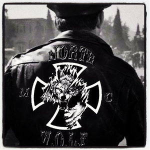 Foto de perfil de Julio Rocha