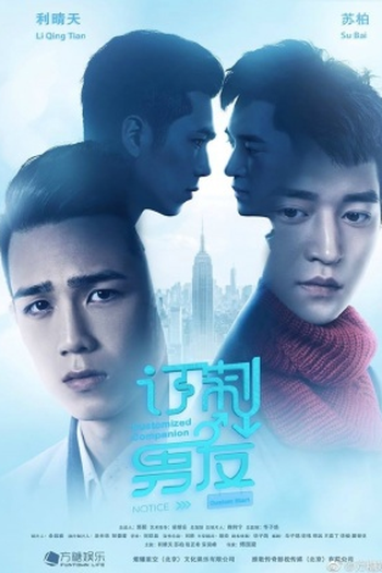 Poster de Filme Customized Companion (2017)