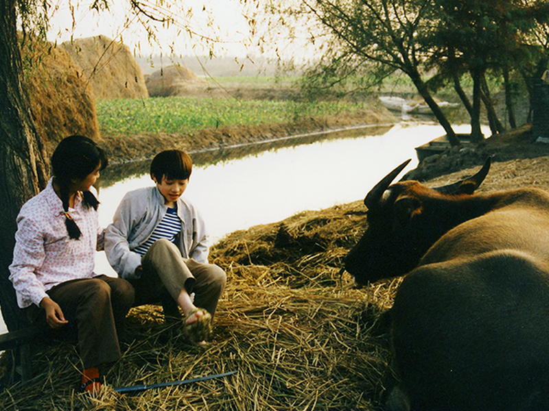 Foto 4 de Living Dream