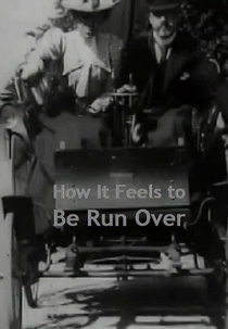 How It Feels To Be Run Over (How It Feels To Be Run Over)