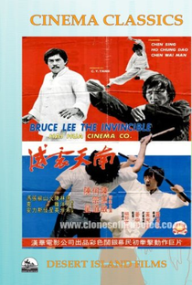 Bruce Lee - O Invencível - Poster / Capa / Cartaz - Oficial 2