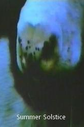 Poster de Curta Summer Solstice (1974)