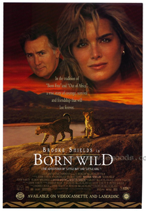 Missão na Selva (Running Wild (The Adventures Of Little Boy And Little Girl))