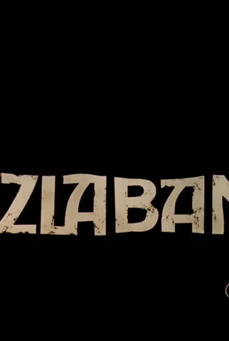 Poster 1 de Curta The Barrier (1977)