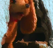 Guenzo