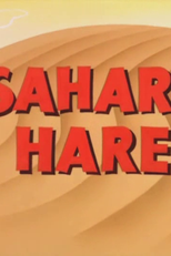 Sahara Hare (Sahara Hare)