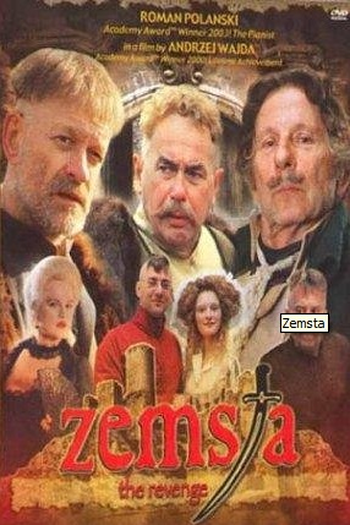 Poster de Filme A Vingança (2002)