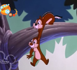 Donald and the Big Nut