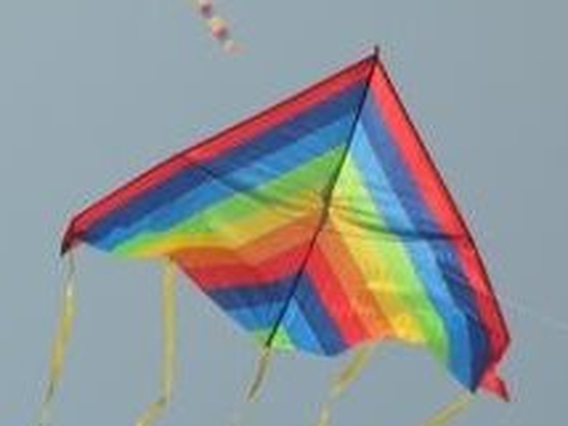 Foto 1 de Queer China, 'Comrade' China