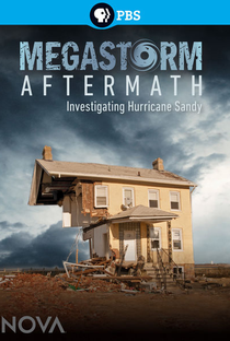 Megastorm Aftermath - Poster / Capa / Cartaz - Oficial 1