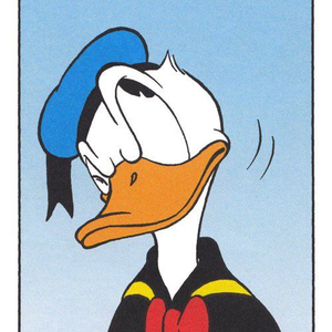 Foto de perfil de Mozart Donaldson