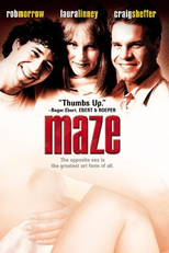 Labirinto de Emoções (Maze)