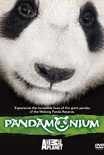 Pandamônio - Poster / Capa / Cartaz - Oficial 1