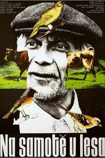 Poster de Filme Na samote u lesa (1976)