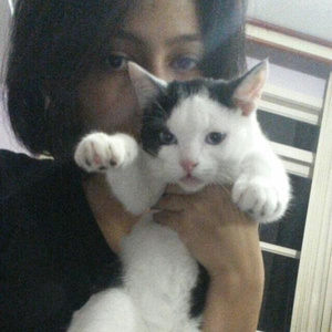 Foto de perfil de Natasha
