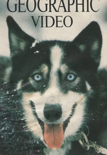 National Geographic - Esses Cães Maravilhosos (Those Wonderful Dogs)