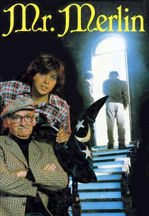 Merlin, O Mago (Mr. Merlin)