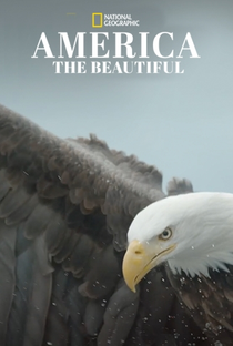 As Maravilhas dos Estados Unidos (1ª Temporada) - Poster / Capa / Cartaz - Oficial 2