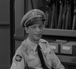 Barney's Uniform
