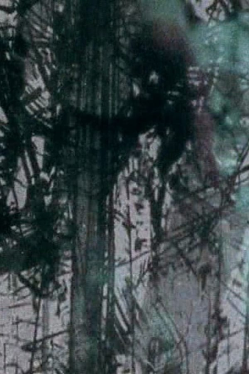 Poster de Curta Surfacing (2004)