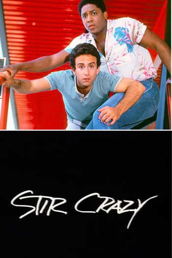 Poster de Franquia Stir Crazy (1985)