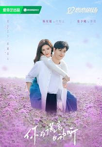 A Beautiful Lie (你的谎言也动听)