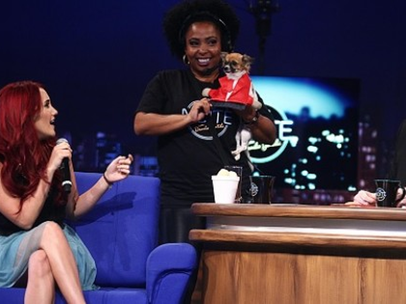 Foto 11 de The Noite Com Danilo Gentili