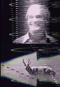 Ha-Ha, Many Mammals, Leary, Jane’s Fall (Ha-Ha, Many Mammals, Leary, Jane’s Fall)