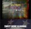 Sweet Home Alabama: The Southern Rock Saga