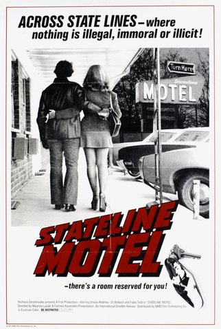 Poster 2 de Filme A Última Chance (1973)