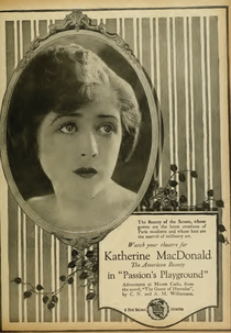 Paixões Indomáveis (Passion's Playground)