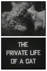 The Private Life of a Cat (The Private Life of a Cat)