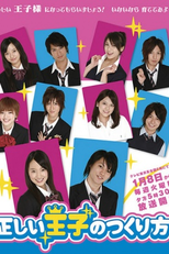 Tadashii Ouji no Tsukurikata (正しい王子のつくり方)