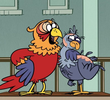 Just Be Coo