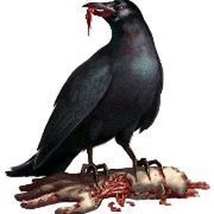 Foto de perfil de Jhulha