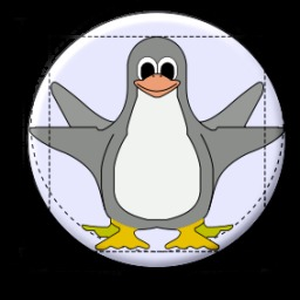 Foto de perfil de Maximiliam Steffens