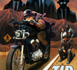 ZIB