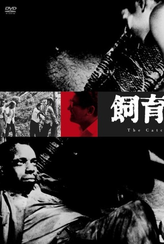 Poster 2 de Filme A Presa (1961)