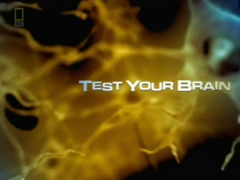 Foto 2 de Teste seu cérebro