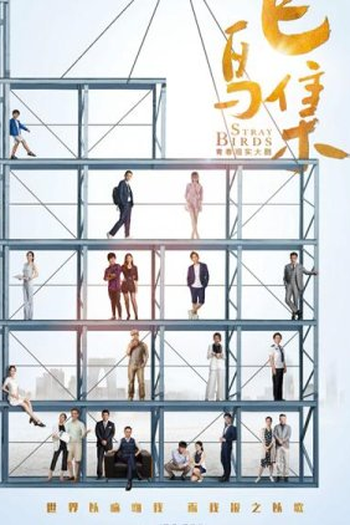  de Série Stray Birds (2021)