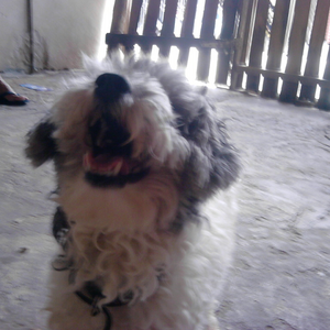 Foto de perfil de ruama  bernardino cecilio